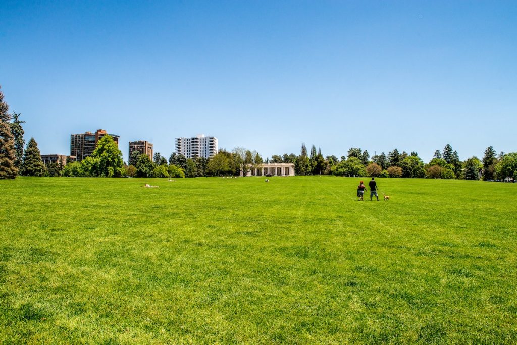 Cheesman Park Denver